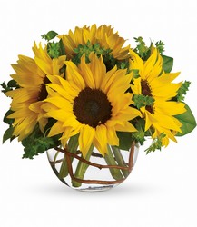 Sunny Sunflowers from Mona's Floral Creations, local florist in Tampa, FL